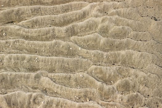 Cracked dry ground sand on the nature outdoors. Texture, background, sample