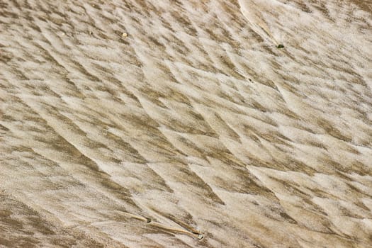 Cracked dry ground sand on the nature outdoors. Texture, background, sample