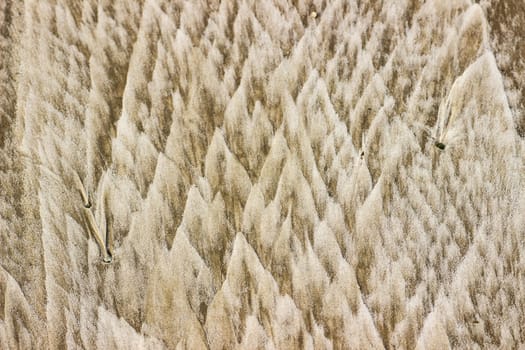 Cracked dry ground sand on the nature outdoors. Texture, background, sample