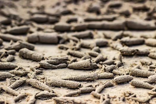 Cracked dry ground sand on the nature outdoors. Texture, background, sample