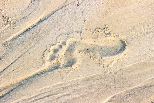 Trail footprint in the sand ground on the nature outdoors. Texture, background, sample