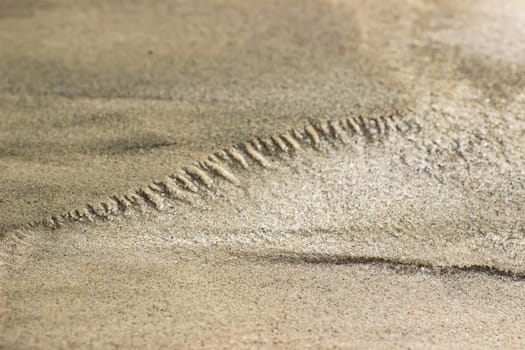 Cracked dry ground sand on the nature outdoors. Texture, background, sample