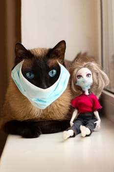 Child plaing during quarantine. Cat and toy doll in protective facial mask 