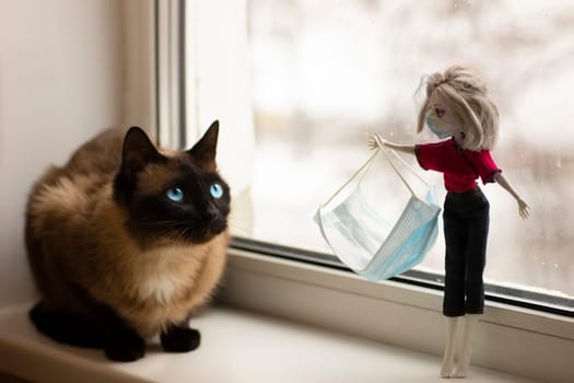 Child plaing during quarantine. Cat and toy doll in protective facial mask 