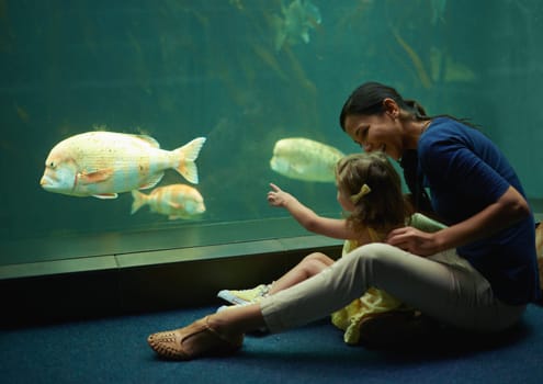 Mother, aquarium and girl pointing at fish for learning, curiosity or knowledge, nature and bonding together. Mom, fishtank and happy kid watching marine life or animals swim underwater in oceanarium.