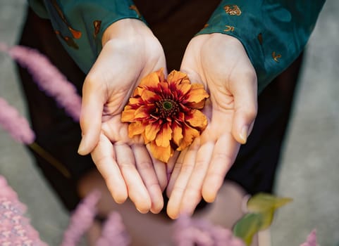 a young woman's hands holding an orange flower