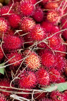 Rambutan fruit in the fruit and vegetable market of Fort de France in Martinique