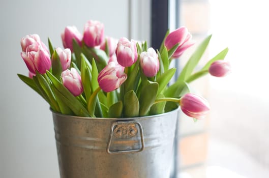 Photo of a bouquet of delicate pink tulips in a decorative iron bucket. Romance. Postcards and congratulations. Holiday.