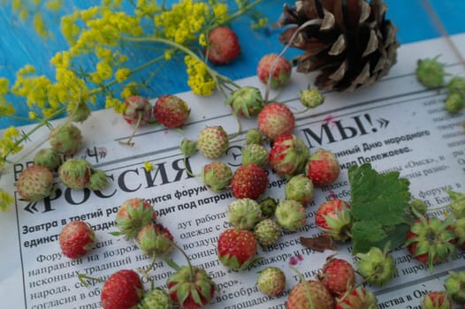 sprigs of wild strawberries on the background of the texture of aged blue wood blue wood