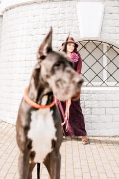 A photo of a woman and her Great Dane walking through a town, taking in the sights and sounds of the urban environment.