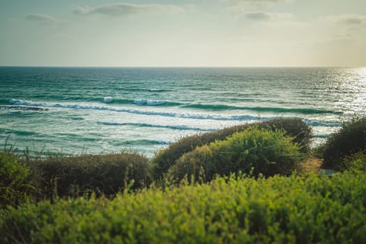 View of sea, green vegetation with bushes at wild coast with at sunny day.