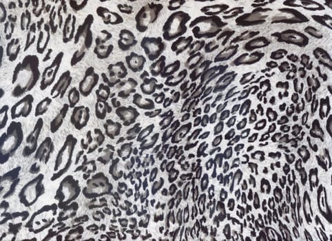 Luxury leopard background. Animal print. Snow Leopard skin Cheetah fur. Jaguar spots. .