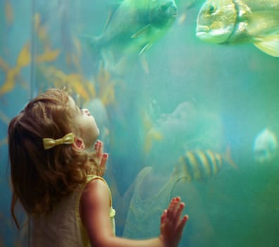 Girl, aquarium and child looking at fish for learning, curiosity and knowledge, development and nature. Education, fishtank and kid watching marine life or animals swim underwater in oceanarium