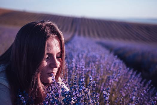 Lavender flower blooming scented fields in endless rows. Selective focus on Bushes of lavender purple aromatic flowers at lavender field. Abstract blur for background.