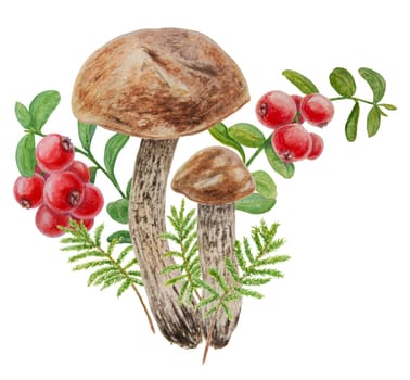 Wild mushrooms, red wild berries and moss watercolor hand drawn botanical realistic illustration. Forest boletus and cranberry isolated on white background. Great for printing on fabric, invitations, menus