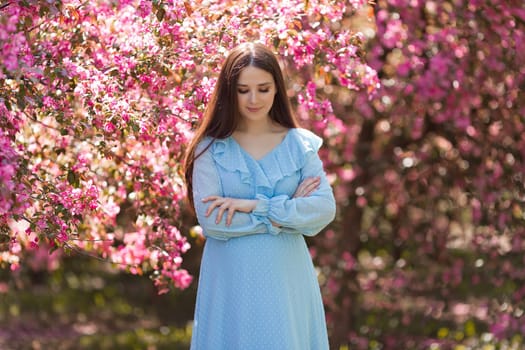 happy brunette girl in light blue dress, with long hair is standing near a pink blooming apple trees, in the summer in the garden. Copy space