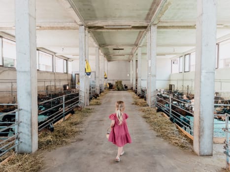 Little girl with a basket walks between the pens with eating goats. Back view. High quality photo