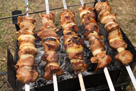 Close Up Cooking Meat Barbecue On The Coal In Camping Park, Forest. Meat , Onion Rings Strung On Skewers. No Waste Healthy Eating Picnic In Summer, Spring Time. Horizontal Plane. High Quality Photo