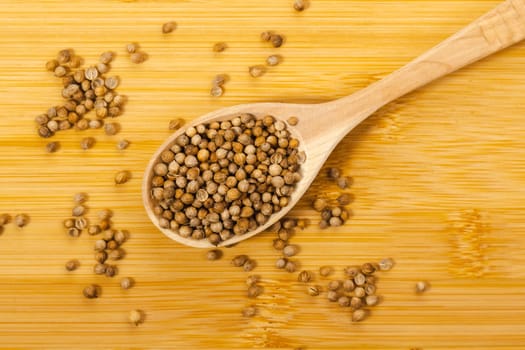 Coriander seeds, close-up, Chinese parsley, dhania and cilantro, used as aromatic and flavorful spice.