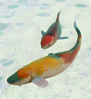 Two koi carps swimming in light green water. Generative AI.