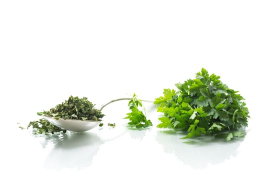 dried parsley in a spoon next to fresh herbs, isolated on white background