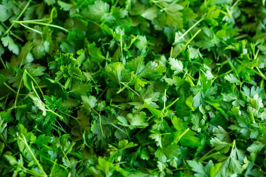 green natural background from fresh organic parsley