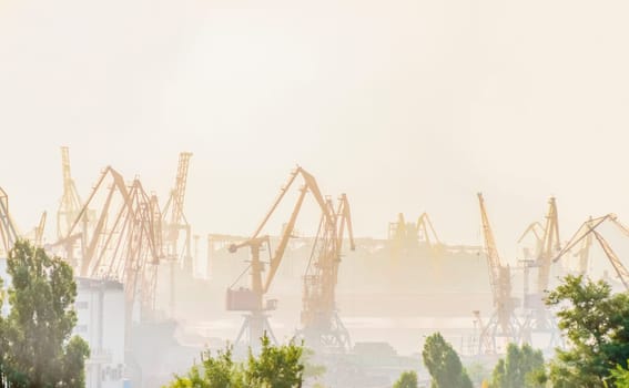 Port cranes covered in early morning mist. container cranes on a foggy morning.