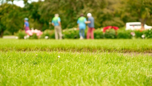 Beautiful lawn with green grass on sunny day with people on background. Selective focus. Bokeh effect.