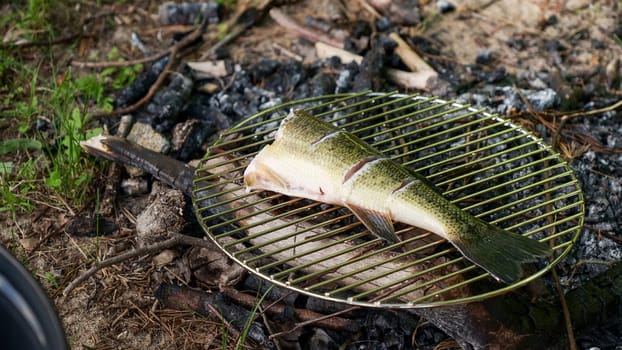 Whole raw fish on the charcoal BBQ grill in camping in summer. Fishing and cooking in forest