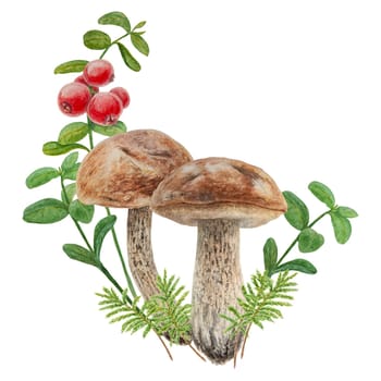 Wild mushrooms, red wild berries and moss watercolor hand drawn botanical realistic illustration. Forest boletus and cranberry isolated on white background. Great for printing on fabric, invitations, menus