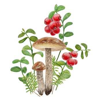 Wild mushrooms, red wild berries and moss watercolor hand drawn botanical realistic illustration. Forest boletus and cranberry isolated on white background. Great for printing on fabric, invitations, menus