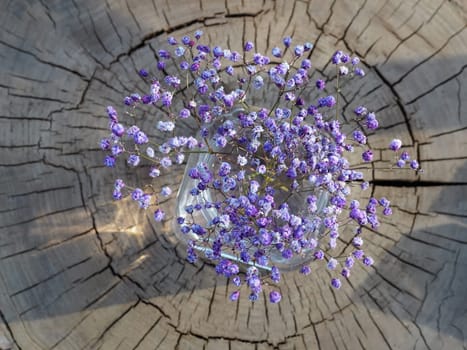 Dry purple gypsophila in a glass vase on wooden background. Floral decoration for cozy home interior decor. Rustic bouquet in violet colors. Caryophyllaceae Family. Top view.