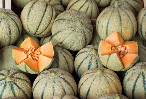 Sweet melons on the shelves of the French market
