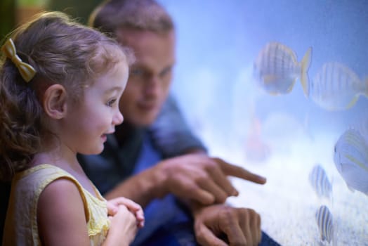 Dad, aquarium and girl looking at fish for learning, curiosity and knowledge, education and bonding. Father, oceanarium and child with parent watching marine life underwater in fishtank on vacation