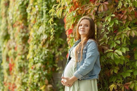 White pretty pregnant woman stand near green overgrown liana wall, looks at camera,healthy female expectant wears dress, denim. Baby shower, babybirth preparation concept. Copy space. Horizontal plane