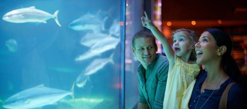 Family, aquarium and girl pointing at fish for learning, curiosity or education, bonding or care. Mother, fishtank and happy kid with father watching marine animals swim underwater in oceanarium