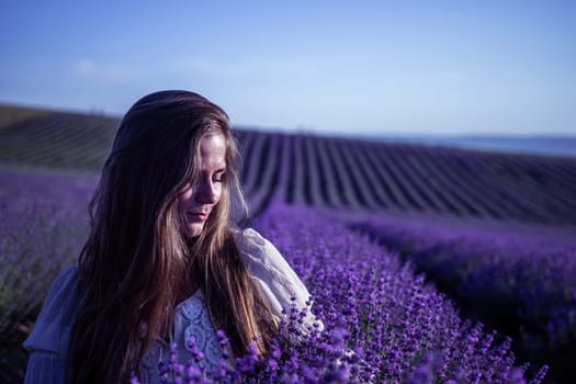 Lavender flower blooming scented fields in endless rows. Selective focus on Bushes of lavender purple aromatic flowers at lavender field. Abstract blur for background.