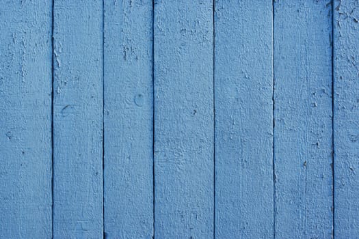 A blue wooden fence made of old cracked painted boards. Cracked blue paint on the boards