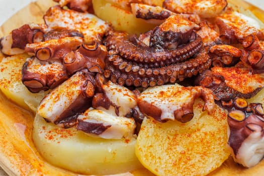 Close-up of fried octopus and boiled potatoes with paprika on plate in a restaurant.