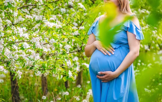 Pregnant woman in the garden of flowering apple trees. Selective focus. Nature.