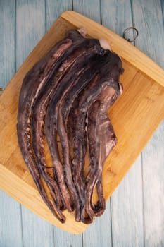 Whole fresh raw octopus on cutting board, High quality photo