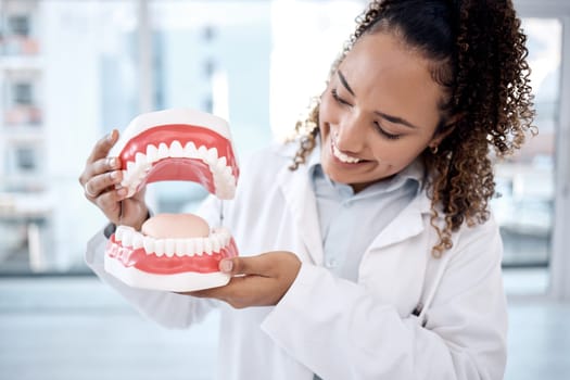 Dentist, oral and dental hygiene professional artificial mouth or model in her office for a demonstration of whitening. Dentures, jaw and healthcare worker or expert holding teeth smile and happy.