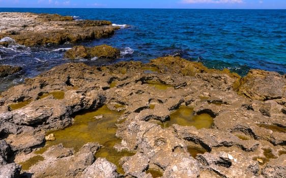 Flat rocky shore with many littoral puddles rich in life, in the eastern Crimea, Black Sea