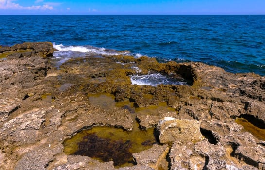 Flat rocky shore with many littoral puddles rich in life, in the eastern Crimea, Black Sea