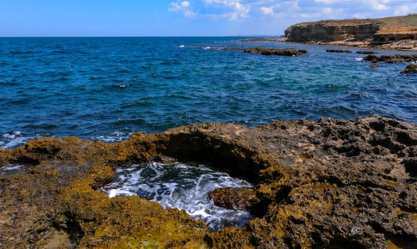Flat rocky shore with many littoral puddles rich in life, in the eastern Crimea, Black Sea
