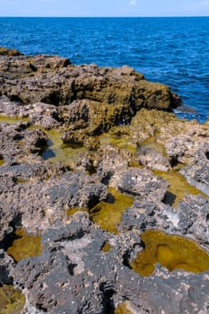 Flat rocky shore with many littoral puddles rich in life, in the eastern Crimea, Black Sea