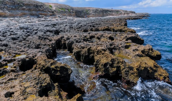 Flat rocky shore with many littoral puddles rich in life, in the eastern Crimea, Black Sea