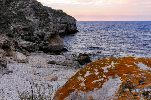 Yellow and gray lichens on coastal rocks and stones in eastern Crimea