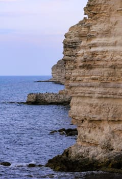 Cormorants rest on a steep bank of Pontic limestone in eastern Crimea