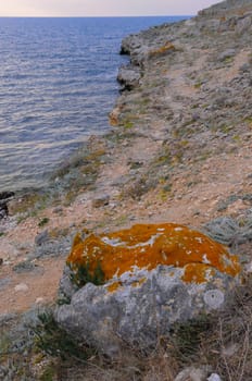 Yellow and gray lichens on coastal rocks and stones in eastern Crimea